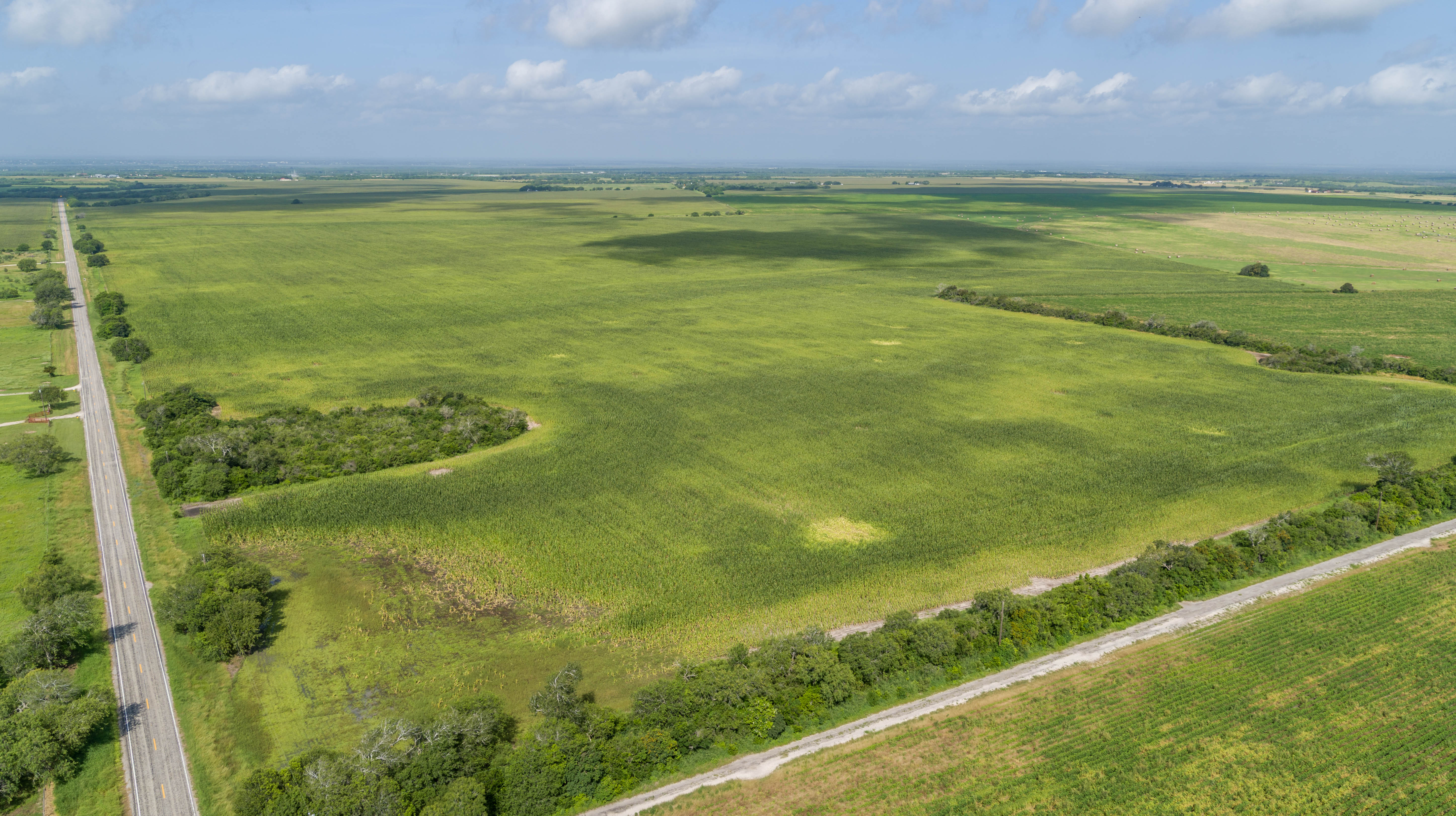 0 Fm 888 Mathis, TX 78368 - Photo 3 of 18
