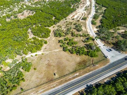 a view of a garden with a tree