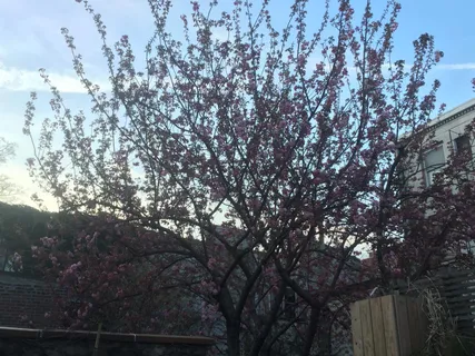 front view of a building