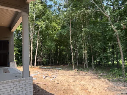 a view of backyard with green space