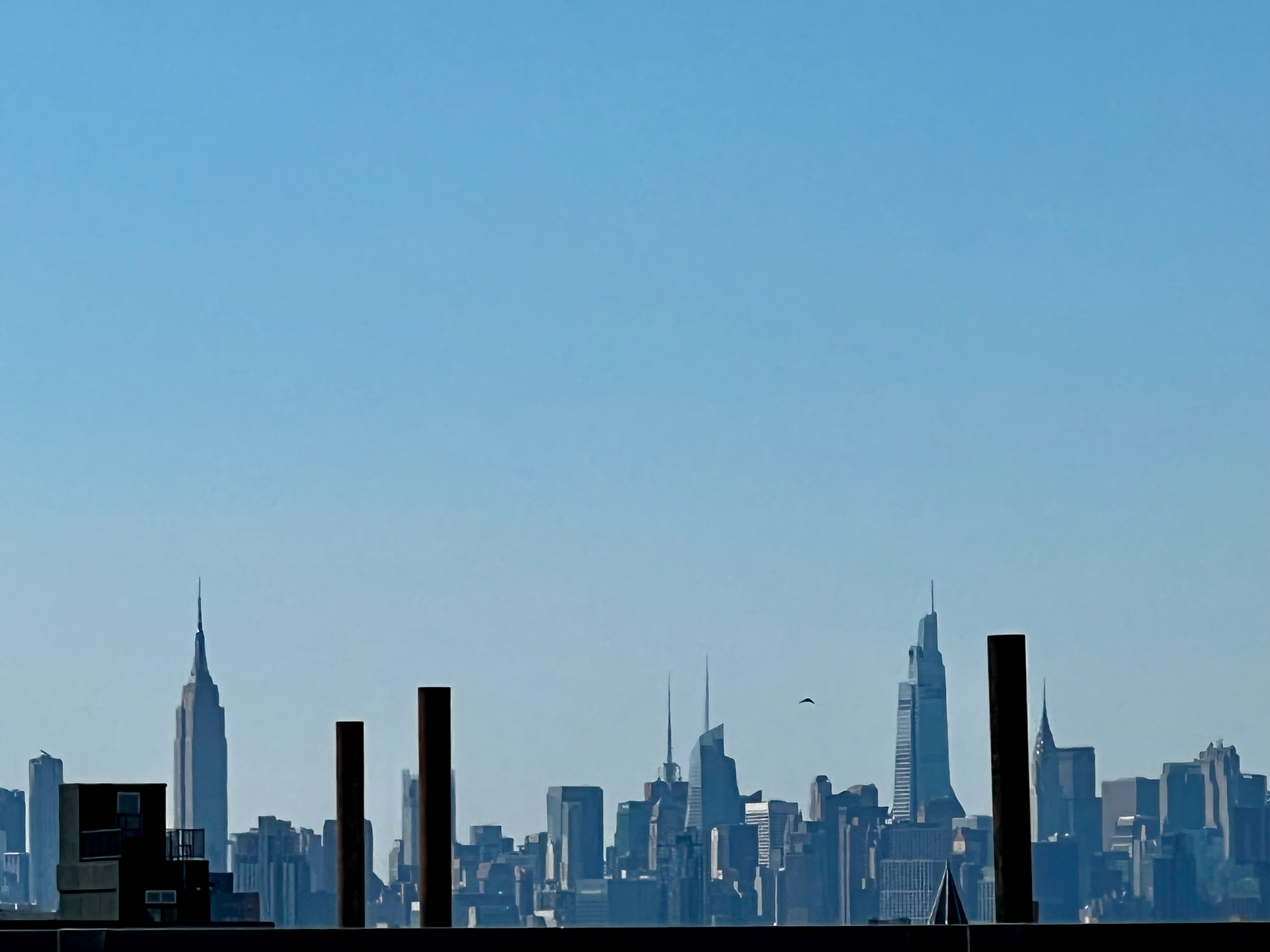 766 Decatur Street, Unit 5A Brooklyn, NY 11233 - Photo 10 of 10