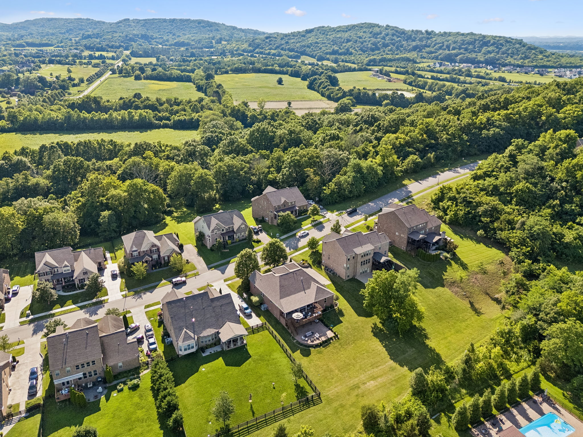 6732 Falls Ridge Lane College Grove, TN 37046 - Photo 57 of 87