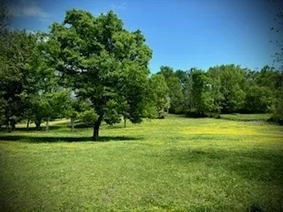 a view of outdoor space with deck and yard