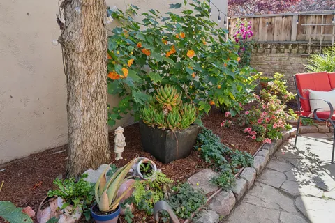 $1,060,000 | Pala Avenue, San Leandro, CA 94577