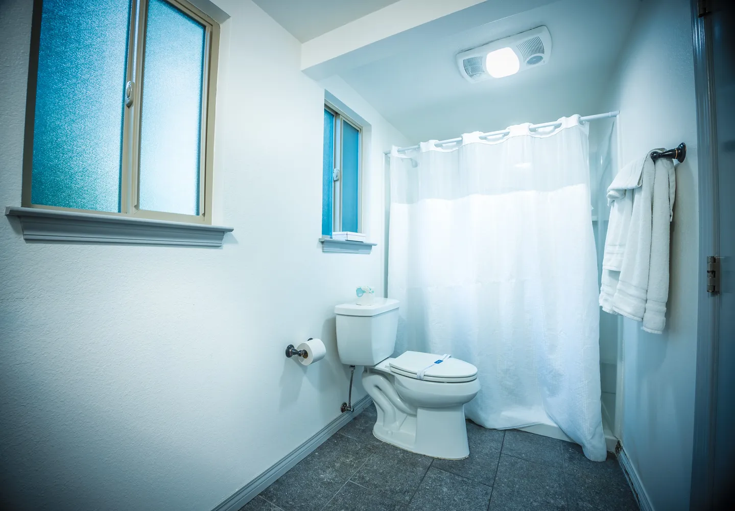 a view of a back yard of the house