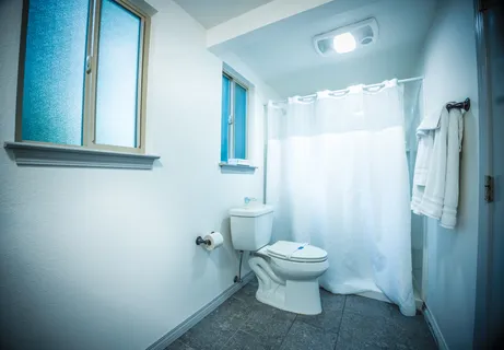 a view of a back yard of the house