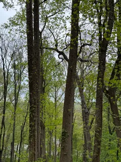 $450,000 | 505 Long Hill Road, Gillette, NJ 07933