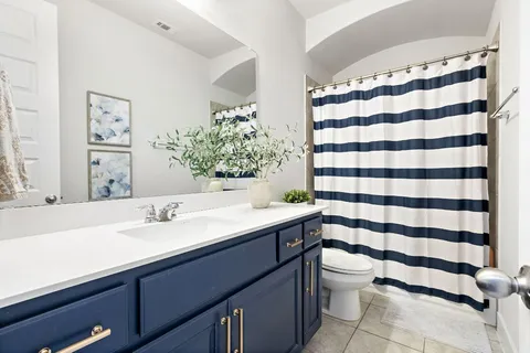 a bathroom with a sink a toilet a mirror and shower curtain