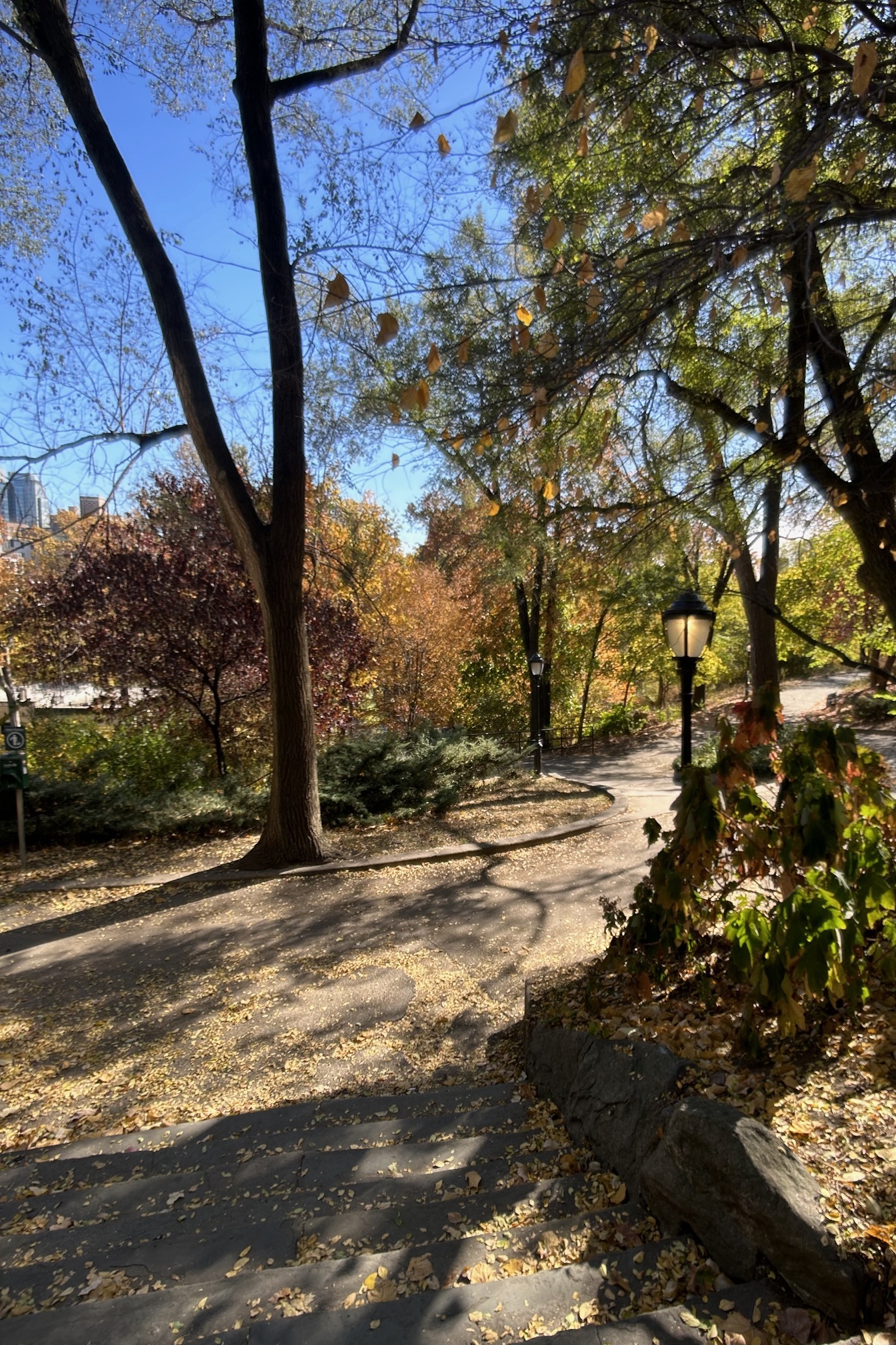 501 West 122nd Street, Unit A2 Manhattan, NY 10027 - Photo 17 of 21 a view of a yard with an tree
