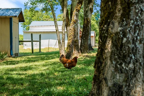 $1,290,000 | 332 John Shaw Road, Lewisburg, TN 37091