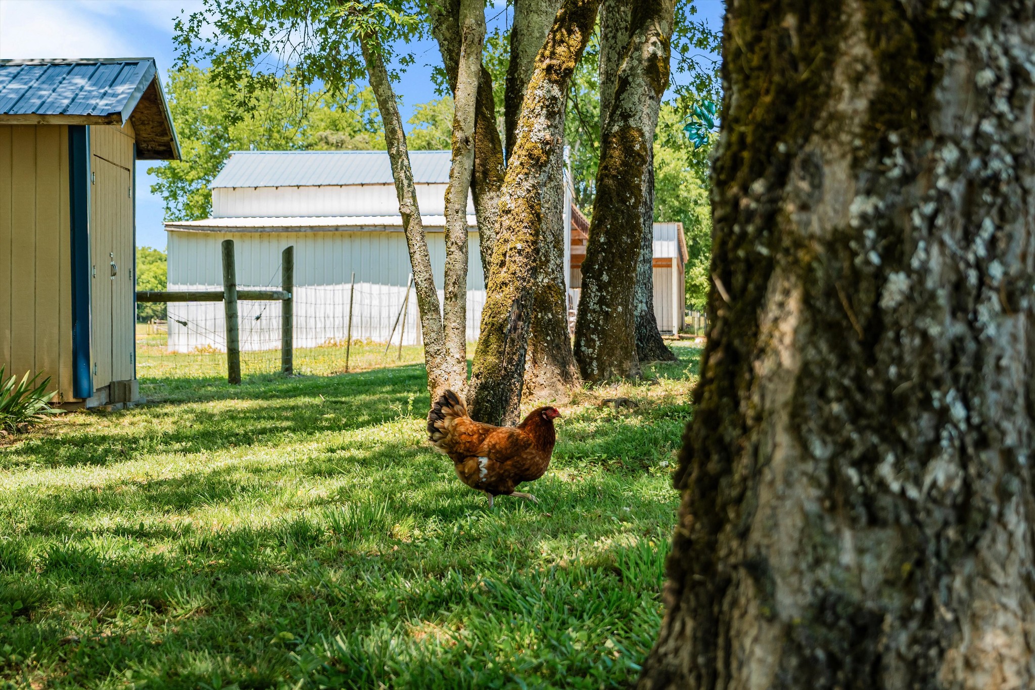 332 John Shaw Road Lewisburg, TN 37091 - Photo 53 of 79