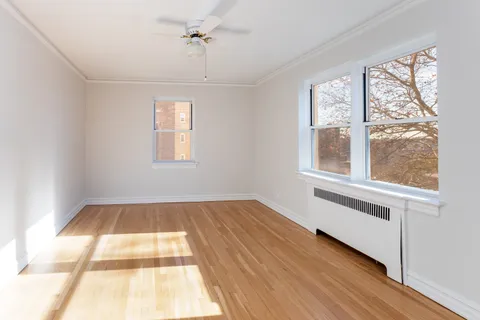 a view of a house with potted plants and a large tree