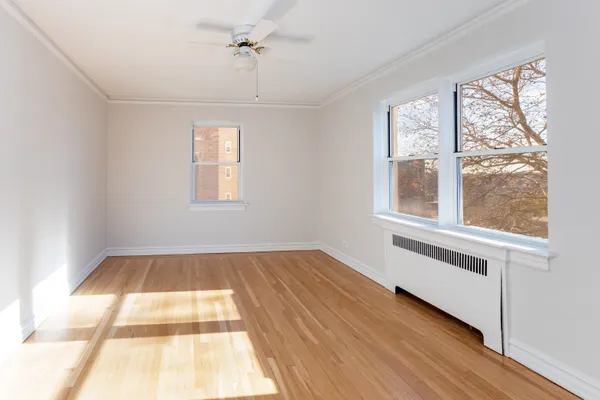 a view of a house with potted plants and a large tree