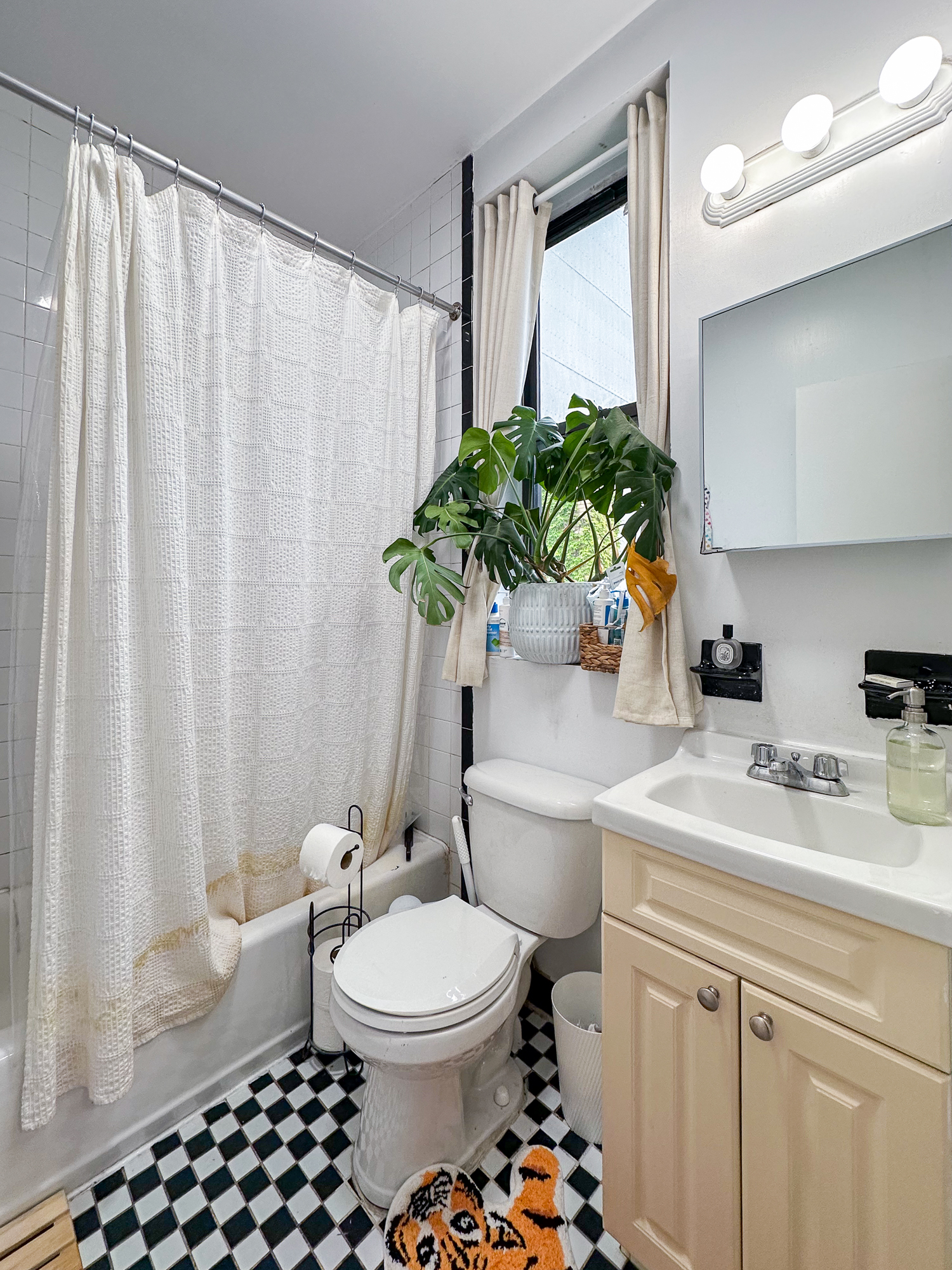51 East 2nd Street, Unit 10 Manhattan, NY 10003 - Photo 10 of 16 a bathroom with a sink a toilet and a mirror