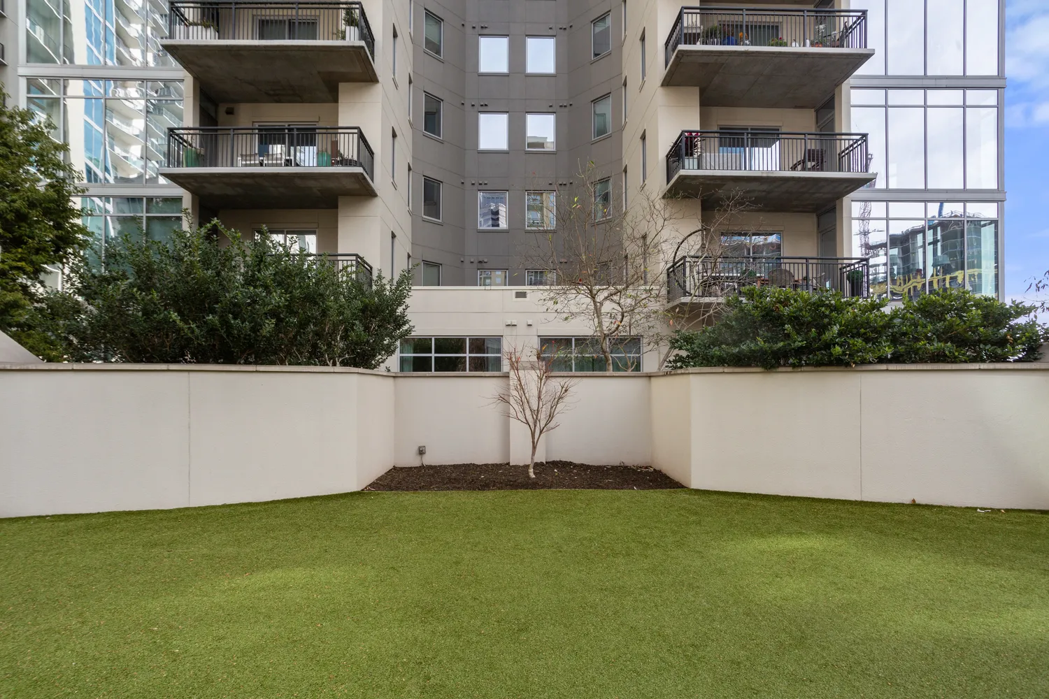 a view of a tall trees in front of a building