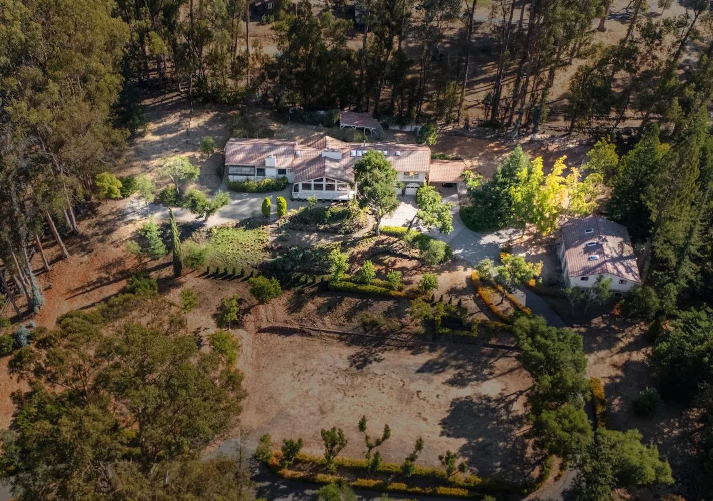 a view of a yard with plants