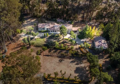 a view of a yard with plants