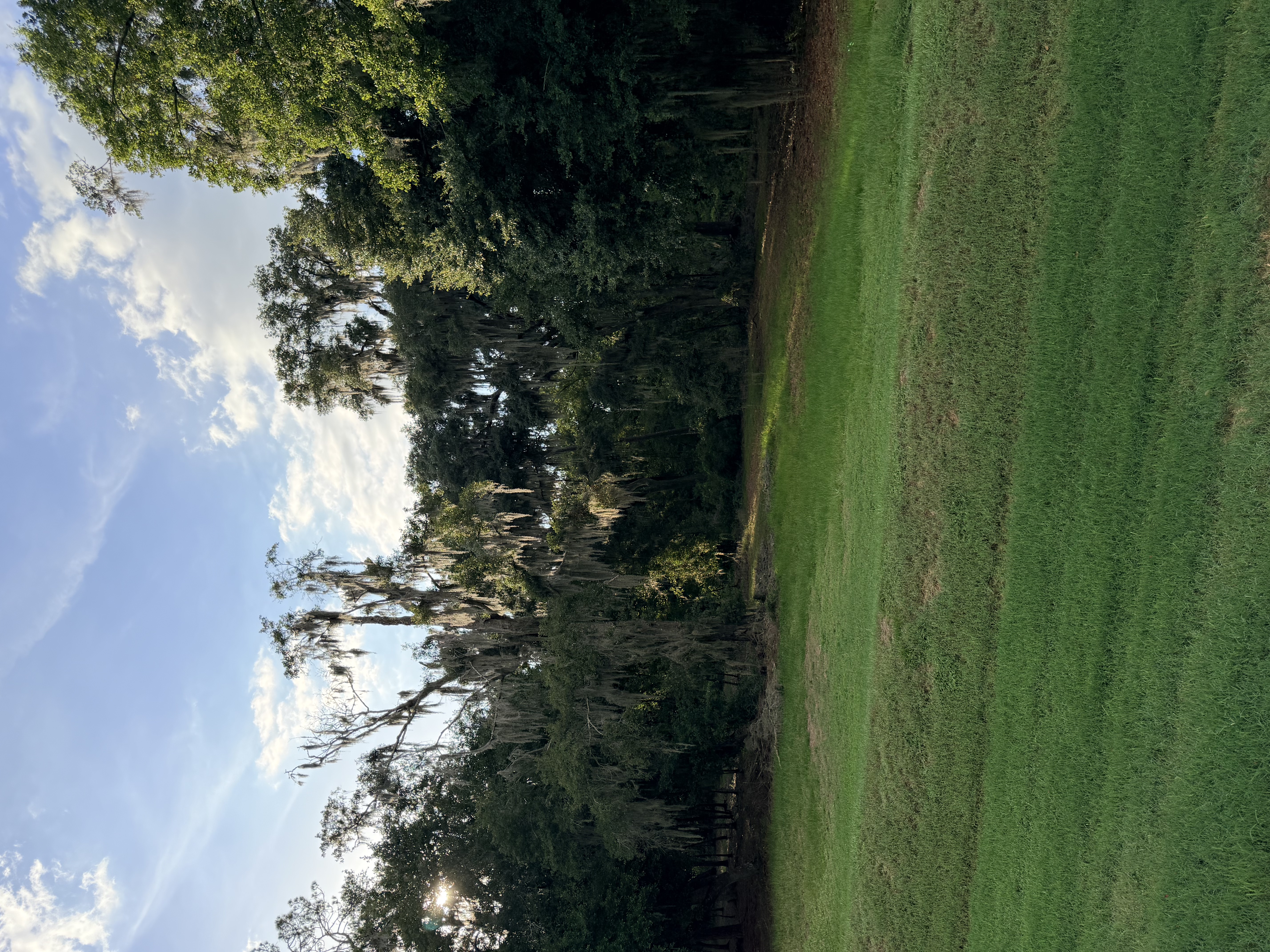 3196 Hawks Ridge Drive Lakeland, FL 33810 - Photo 2 of 14 a view of a grassy field