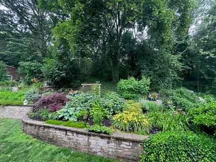 a view of a garden with plants