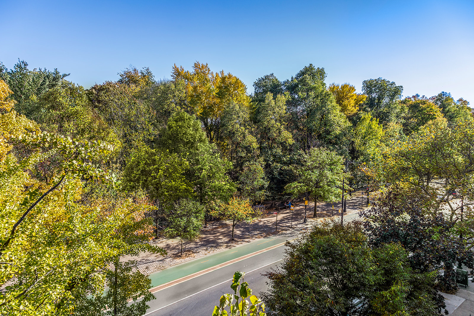 9 Prospect Park West, Unit 5C Brooklyn, NY 11215 - Photo 5 of 9 a view of a forest with trees in front of it