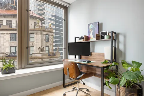 a workspace with furniture and a potted plant