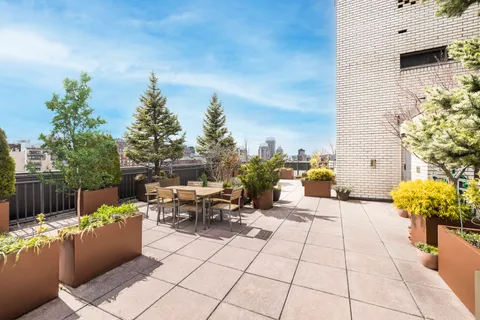 a view of a terrace with furniture and a potted plants