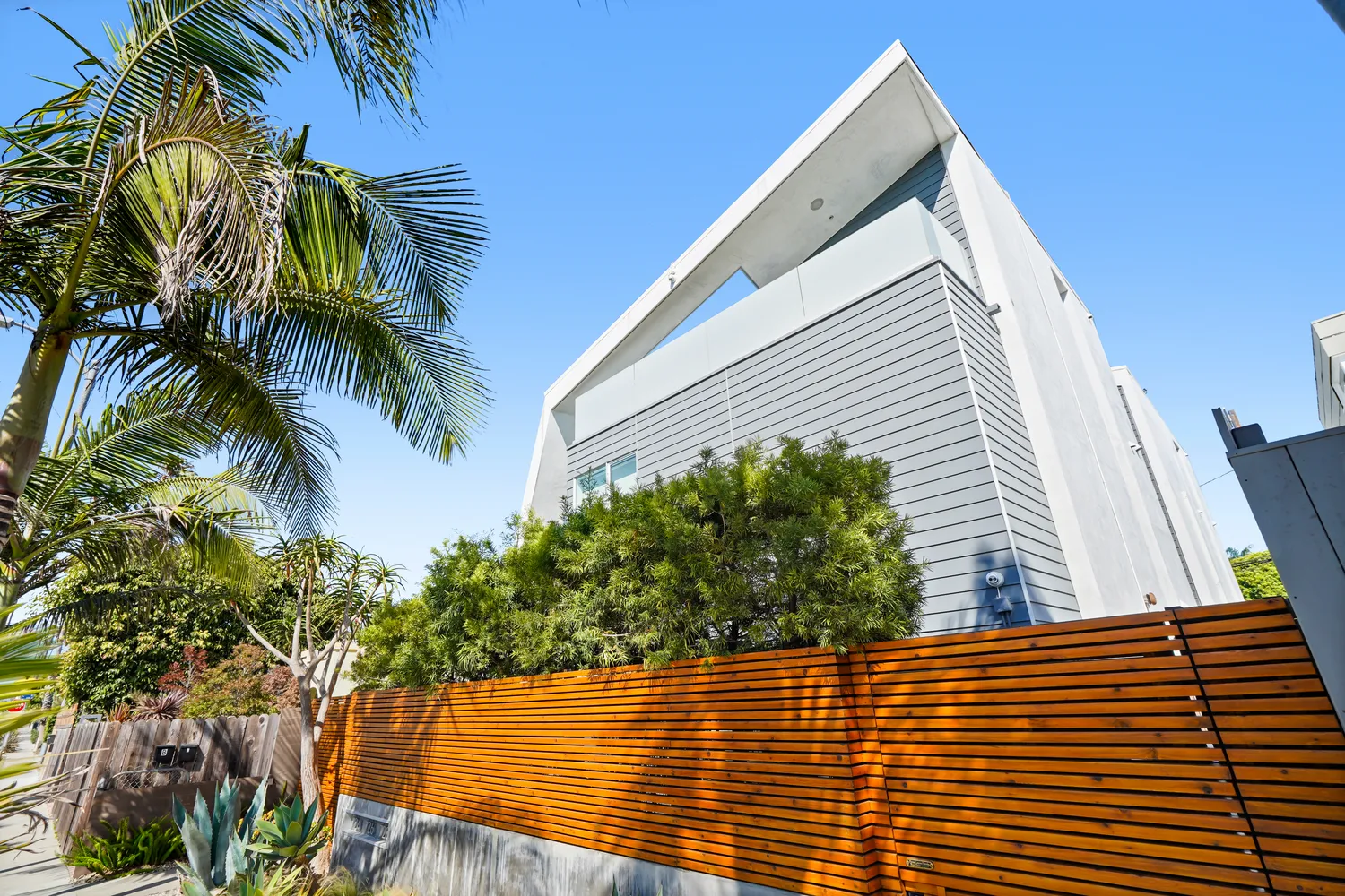 a view of a large building with a palm tree