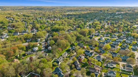 a view of a city with lush green forest