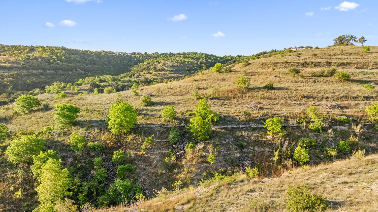 a view of a city with mountains in the background
