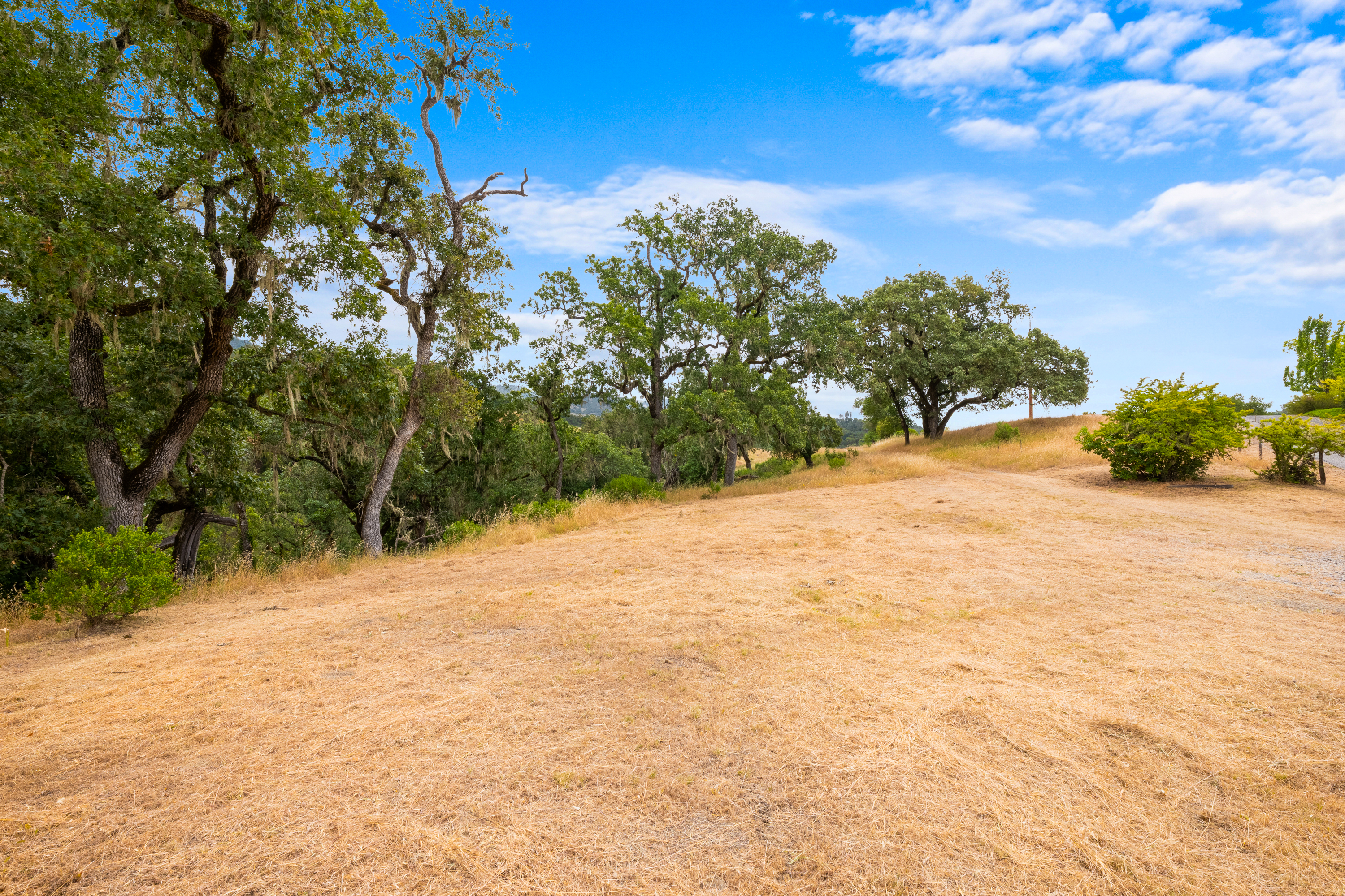 23655 Vineyard Road Geyserville, CA 95441 - Photo 17 of 25