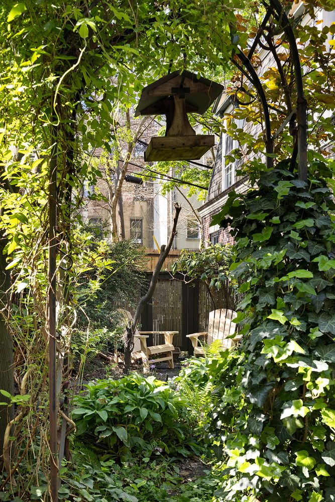 a view of a small yard