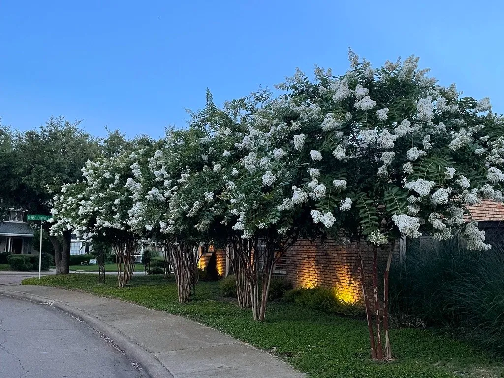 $1,200,000 | 5723 Overdowns Drive, Dallas, TX 75230