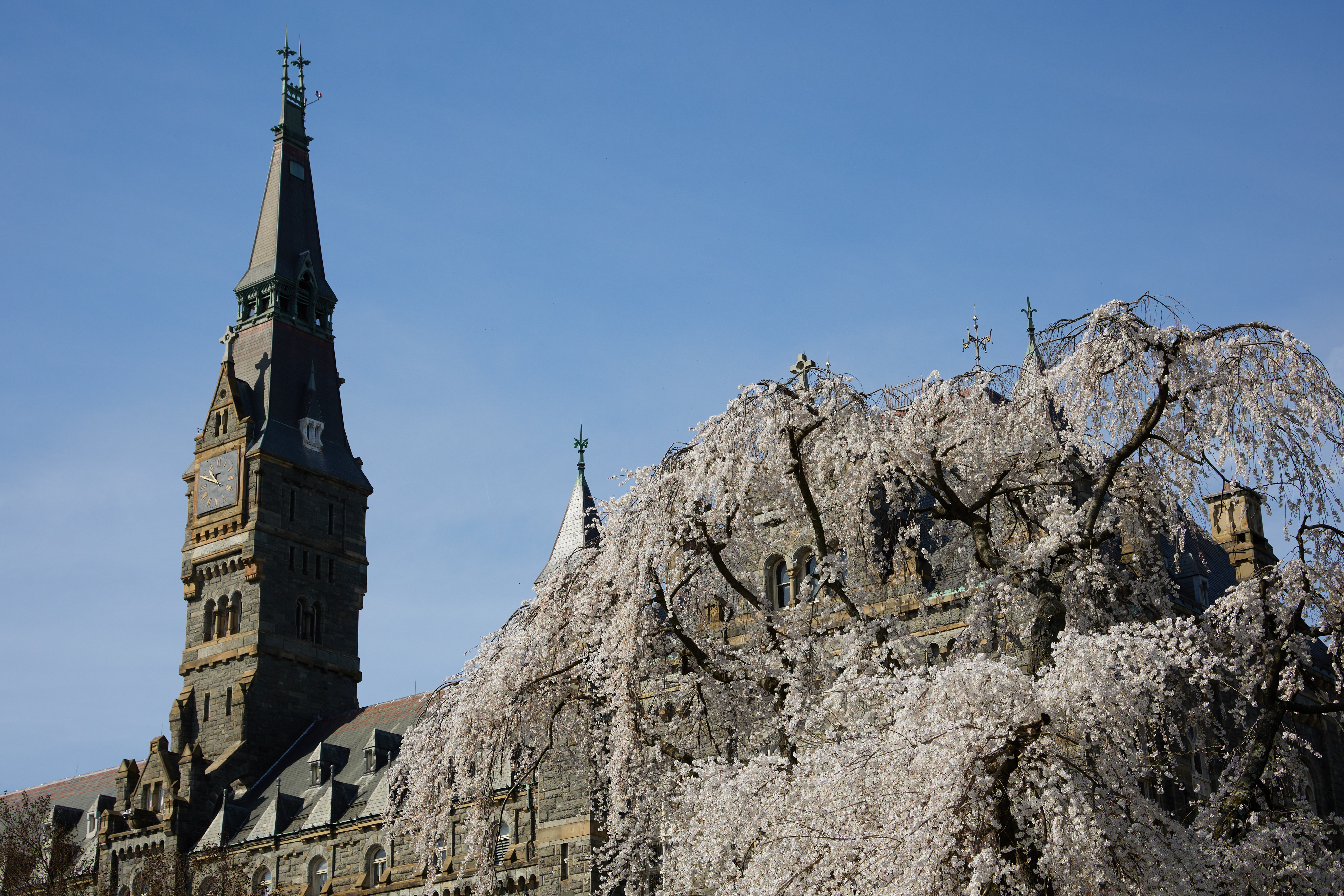 3420 R Street Northwest Washington, DC 20007 - Photo 52 of 53 a view of a bedroom