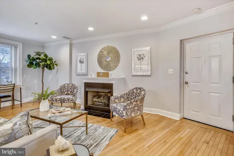 a living room with furniture a fireplace and a potted plant