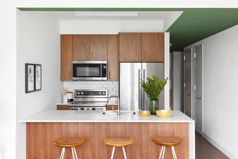 $3,495 | 120 Nassau Street, Unit 13C | Downtown Brooklyn