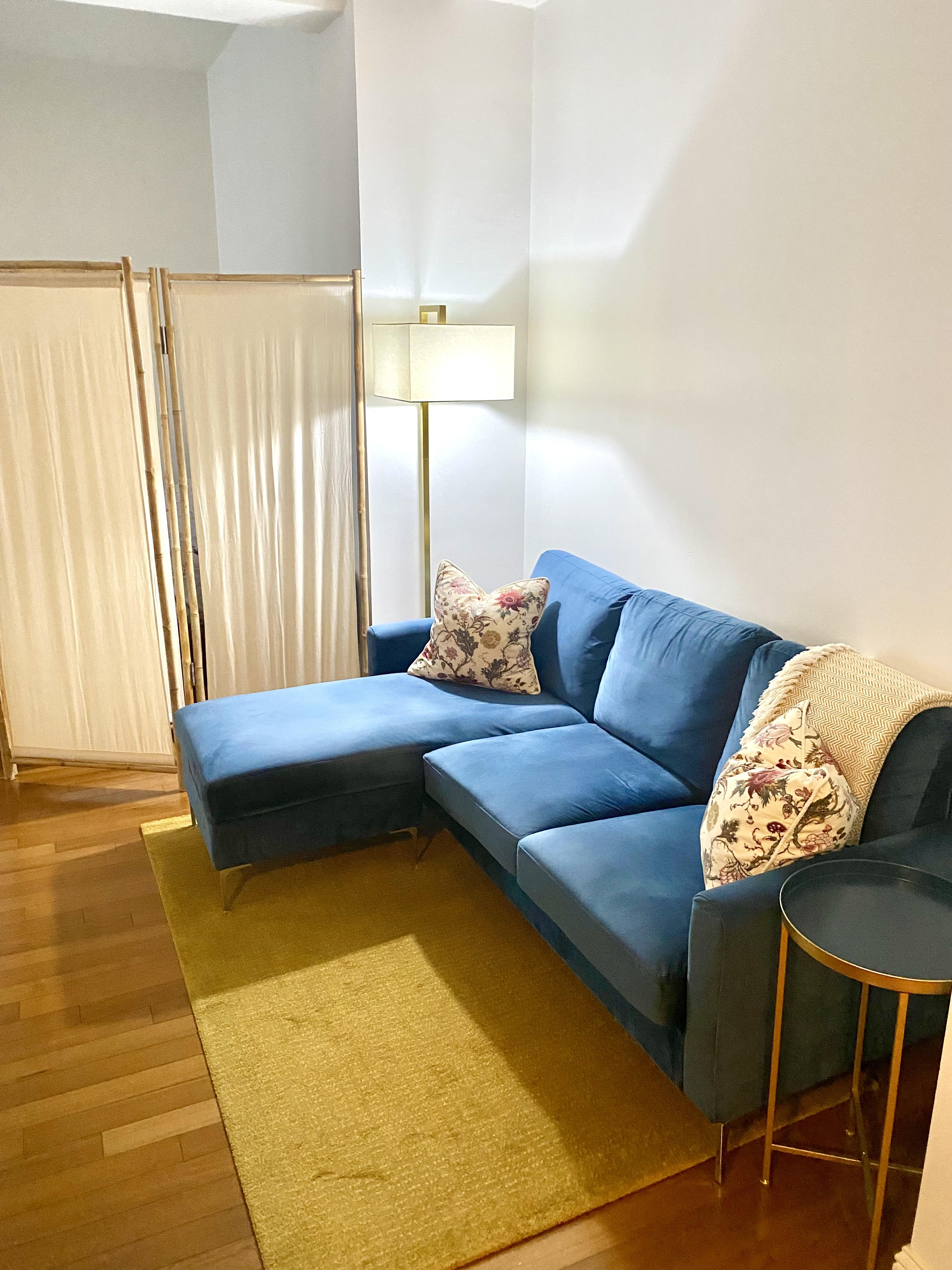 88 Greenwich Street, Unit 1218 Manhattan, NY 10006 - Photo 3 of 30 a living room with furniture and a rug