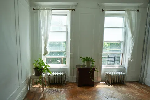a room with furniture and a potted plant