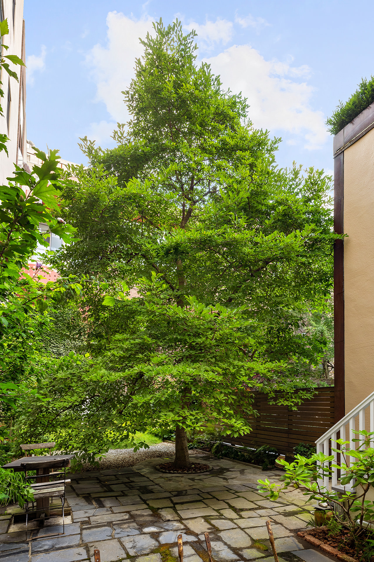 29 Vandam Street Manhattan, NY 10014 - Photo 5 of 17 a view of a garden