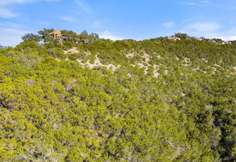 Contact Agent | 17 Cicero Lane, Austin, TX 78746