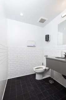 a bathroom with a toilet a sink and mirror