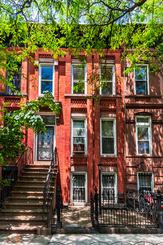 381 Decatur Street Brooklyn, NY 11233 - Photo 1 of 9 Gallery Image 1