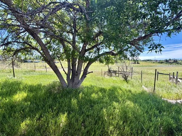 $750,000 | 41820 Madrid Drive, Parker, CO 80138