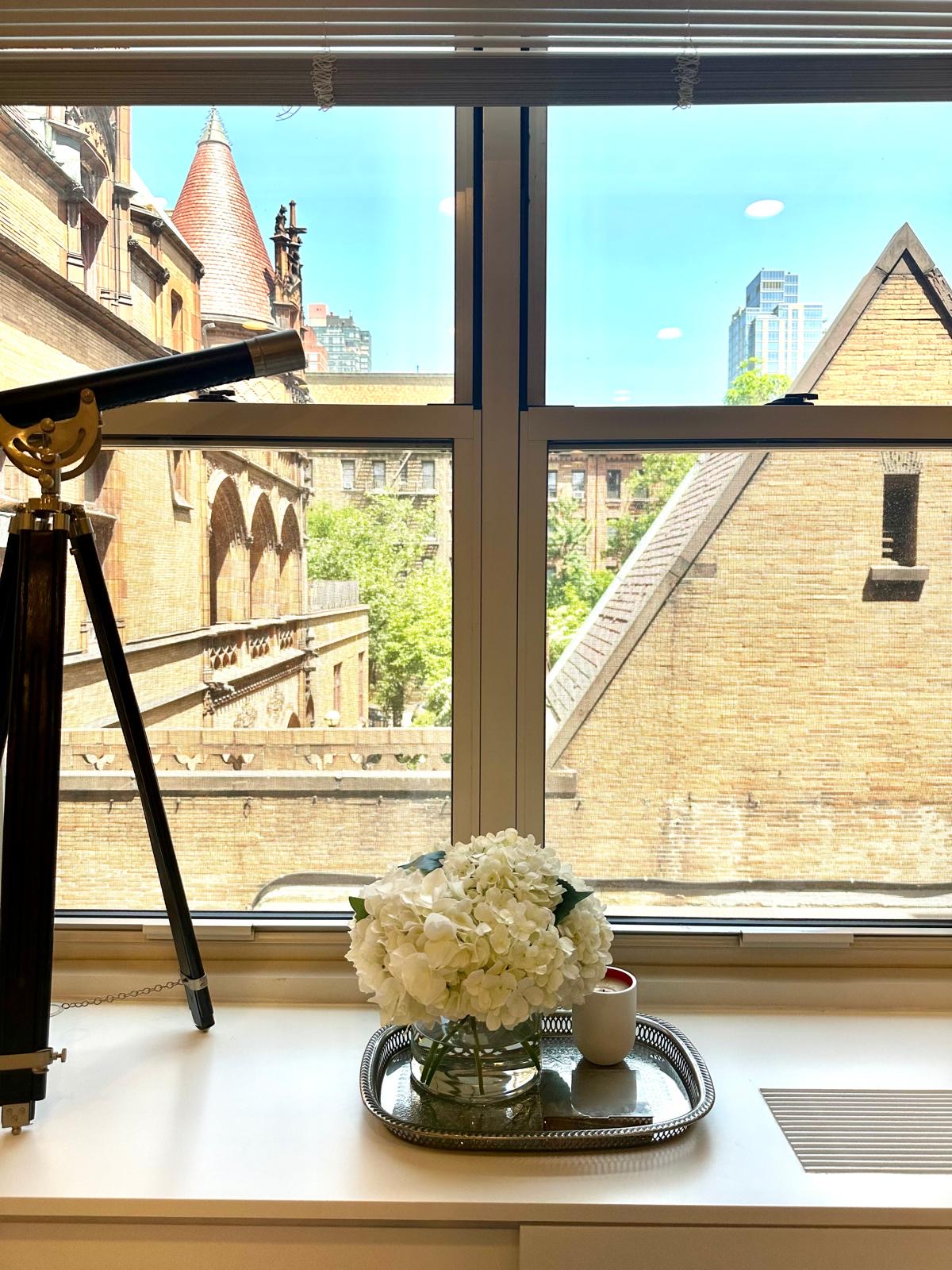 309 East 87th Street, Unit 3L Manhattan, NY 10128 - Photo 6 of 14 a dining room with a window