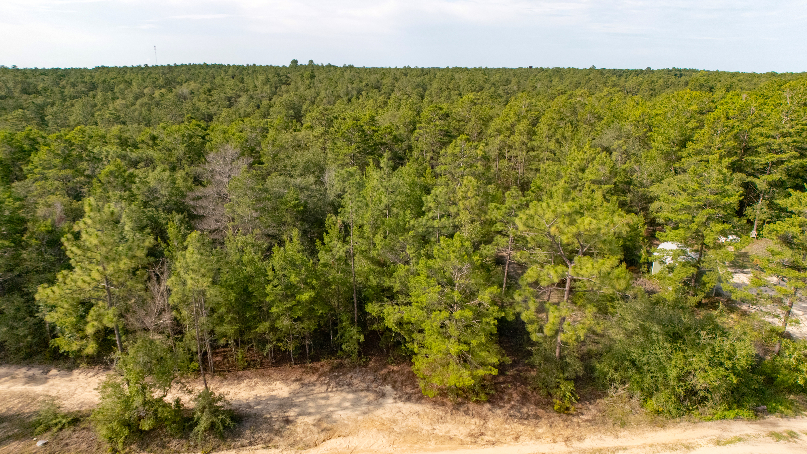 Lots 7, 8, 9, 10 Tarpon Lane DeFuniak Springs, FL 32433 - Photo 5 of 10