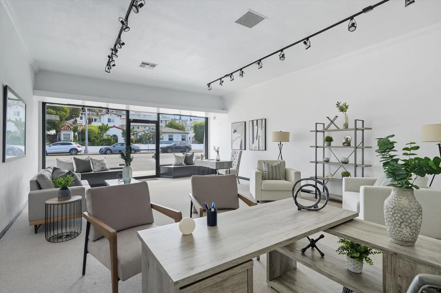a living room with furniture and a potted plant
