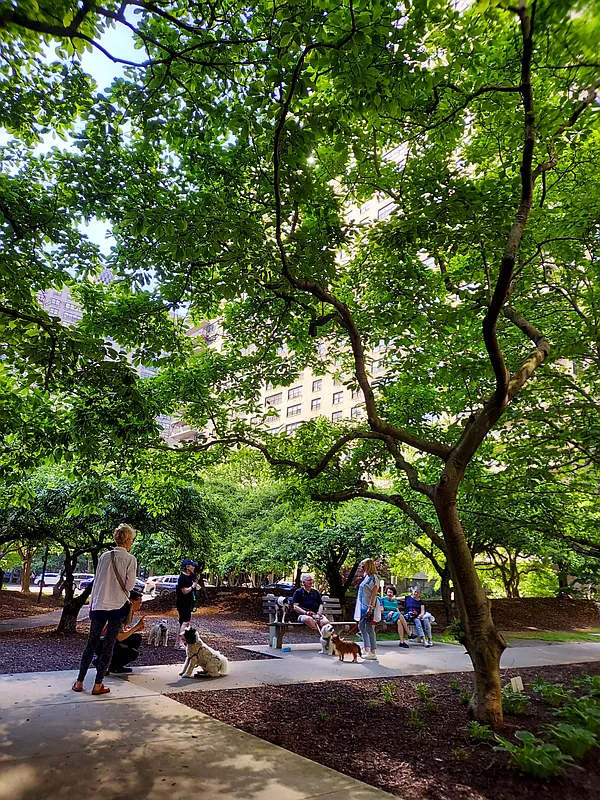 185 West End Avenue, Unit 26J Manhattan, NY 10023 - Photo 15 of 18 a view of a park with of trees