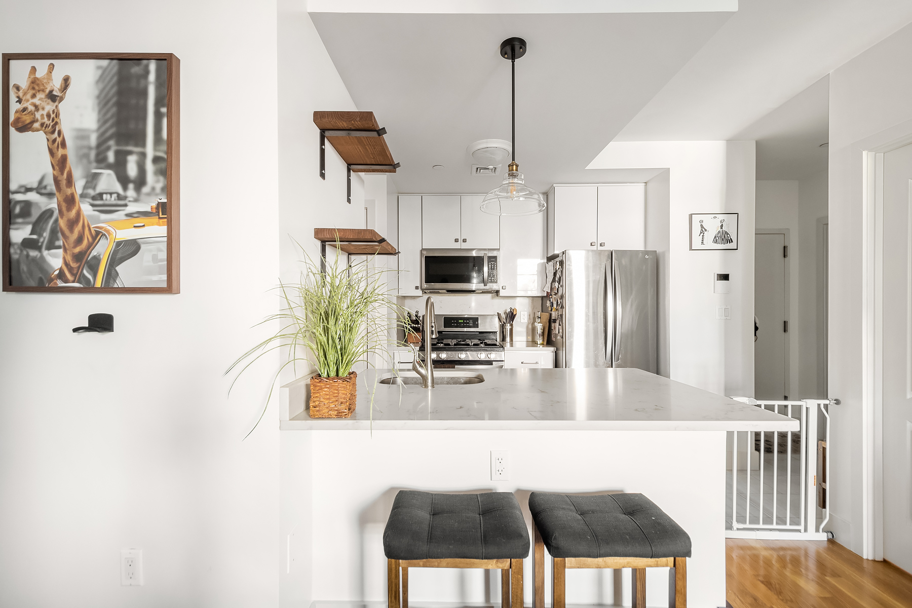 69 Java Street, Unit 2B Brooklyn, NY 11222 - Photo 5 of 9