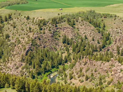$395,000 | 376 North 4350th St Street East, St. Anthony, ID 83445