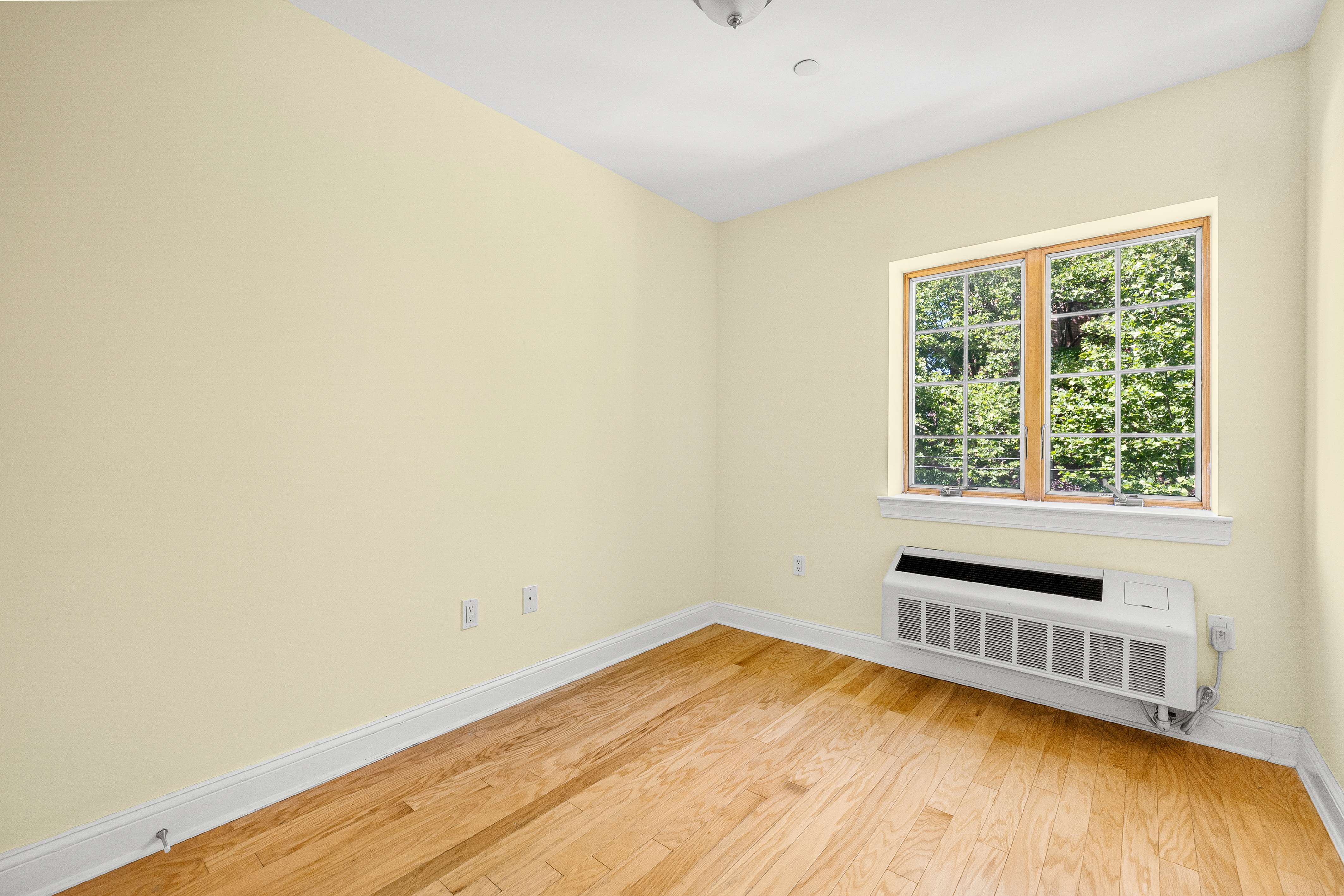 85-15 120th Street, Unit 3C Queens, NY 11415 - Photo 6 of 13