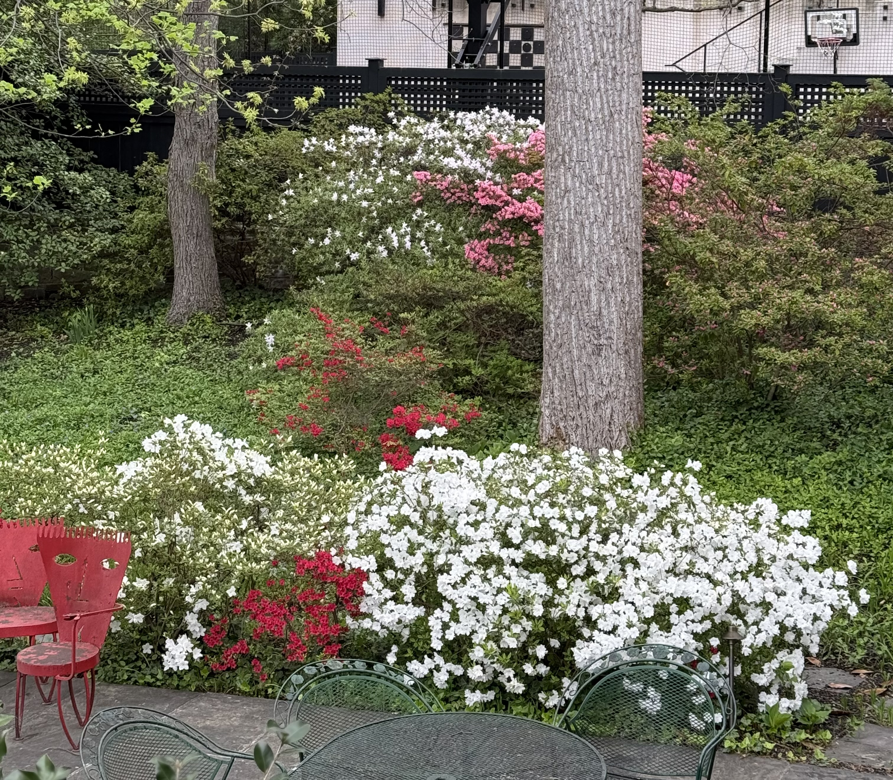 5344 Falmouth Road Bethesda, MD 20816 - Photo 14 of 17